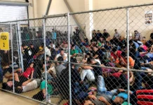 President Biden Forgets Immigrants in New Executive Order immigrant detention cage