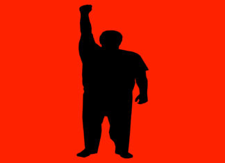 Who Should Respond to Mental Health Crisis?