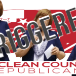 Conservative Hypocrites Triggered by Boycott Connie Beard McLean County Republicans Triggered