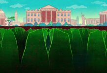 Deep-State Fetishizes New Domestic Terrorism Laws