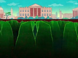 Deep-State Fetishizes New Domestic Terrorism Laws