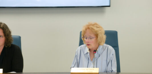 Should the McLean County Auditor Be Eliminated? District 2 County Board Member Metsker